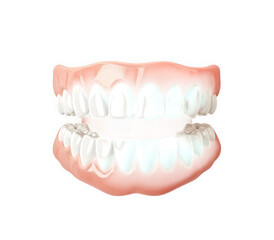 Obraz premium Full set of dentures isolated on transparent background for dental health concept