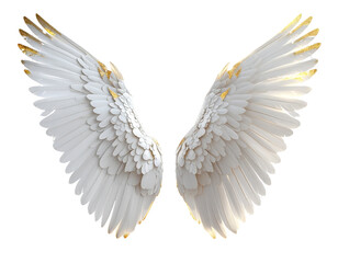 Fototapeta premium Ethereal White Wings with Subtle Gold Accents