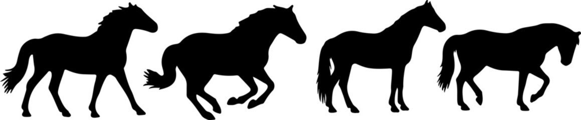 silhouette horse posture black shape mono tone color on white background