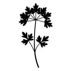 Simple black silhouette of parsley stem and leaves isolated on white background