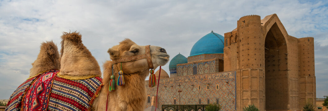 A Bactrian camel against the backdrop of the famous medieval mausoleum of Khoja Akhmet Yassaui in the Kazakh city of Turkestan