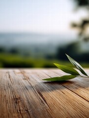 Obraz premium Serene Nature Scene with Wooden Surface and Green Leaf
