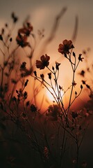 Sunset Silhouette: Wildflowers in Golden Light
