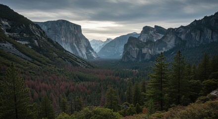 Fototapeta premium view of the mountains