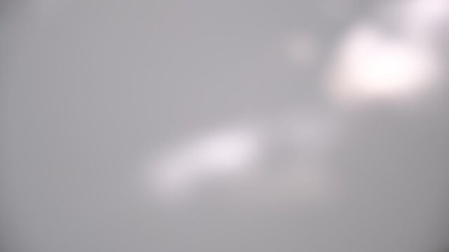 Soft blurred shadows on white. Sunlight, motion,overlay shadow on white background. Minimal style, copy space, template. Delicate aesthetic. Video transition. Presentation, multiple exposure