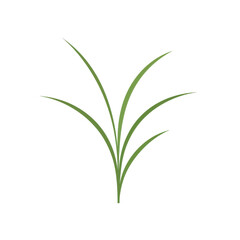 Naklejka premium Elegant green grass blades illustration, simple nature design isolated on white background