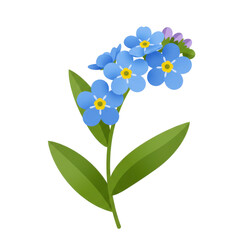 Vivid forget-me-nots a cluster of blue flowers with green leaves isolated on white background