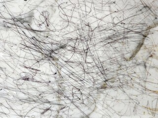 Abstract artwork with delicate lines, creating a sense of movement and depth. Perfect for design