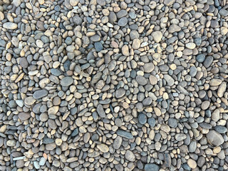 A collection of smooth, variously colored pebbles, primarily in shades of gray, brown, and beige, spread out across a surface. Some small debris, like dried leaves, is visible among the stones.