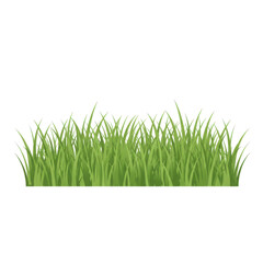 Obraz premium Lush green grass blades in a dense, detailed, and natural arrangement isolated on white background