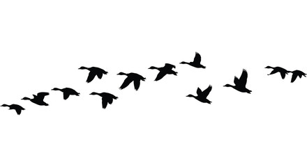 A flock of black birds silhouetted in a v formation flying