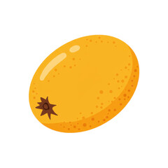 Vibrant cartoon illustration of a single loquat fruit isolated on white background
