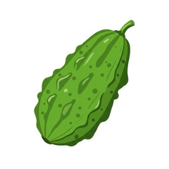 Detailed illustration of a green bitter melon with textured surface isolated on white background