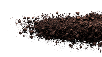 Dark brown soil spills outward, speckled with tiny particles
