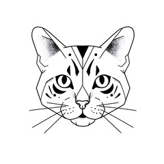 Fototapeta premium Geometric Cat Head Illustration Vector Art with Lines with Dots, and and Modern Design.