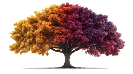 A giant autumn tree with a wide canopy of rainbow-like foliage--red, orange, yellow, and deep purple--rendered in ultra-detailed realism, centered on a blank white background.  png