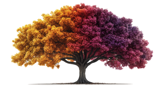 A giant autumn tree with a wide canopy of rainbow-like foliage--red, orange, yellow, and deep purple--rendered in ultra-detailed realism, centered on a blank white background. png