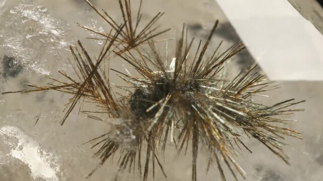 Astrophyllite Crystal Close-Up - A Mineralogical Marvel of Radiating Blades.