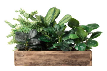 Wooden planter box filled with various lush green plants