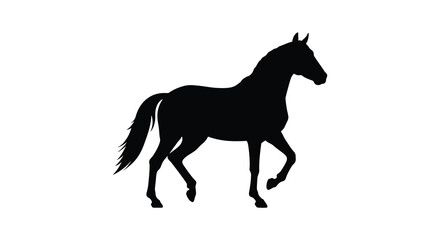 A striking black silhouette of a horse standing in profile view