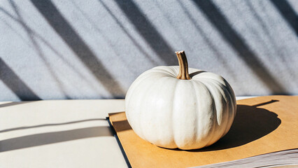 White pumpkin with natural background, shadows, and natural lights. 