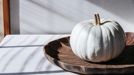 White pumpkin with natural background, shadows, and natural lights. 