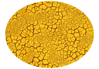 Circular, cracked, gold surface