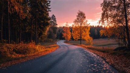Obraz premium Road in autumn forest at sunset.