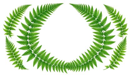 Green fern wreath