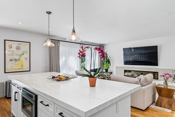 Modern living room with flat-screen TV, fireplace, and minimalist decor in natural light