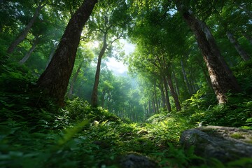 Obraz premium Forest with lots of trees and plants