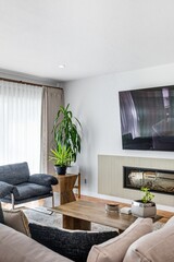 Modern living room with flat-screen TV, fireplace, and minimalist decor in natural light