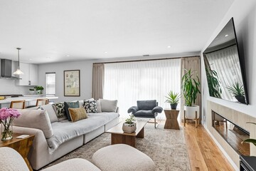 Modern living room with flat-screen TV, fireplace, and minimalist decor in natural light