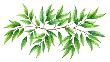 Lush green leaves on a branch