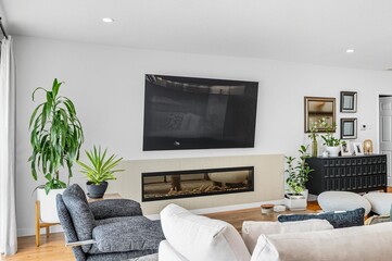 Modern living room with flat-screen TV, fireplace, and minimalist decor in natural light