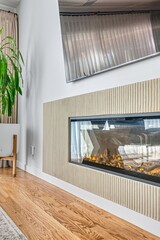 Modern living room with flat-screen TV, fireplace, and minimalist decor in natural light