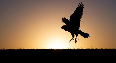 Silhouette of a bird of prey landing during a vibrant sunset creating a striking nature image