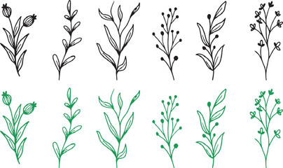 botanical, plant, leaf, branch, floral, nature, drawing, sketch, illustration, organic, stem, outline, doodle, green, black, set, collection, simple, elegant, design, element, growth, foliage, wild, s © Baizid
