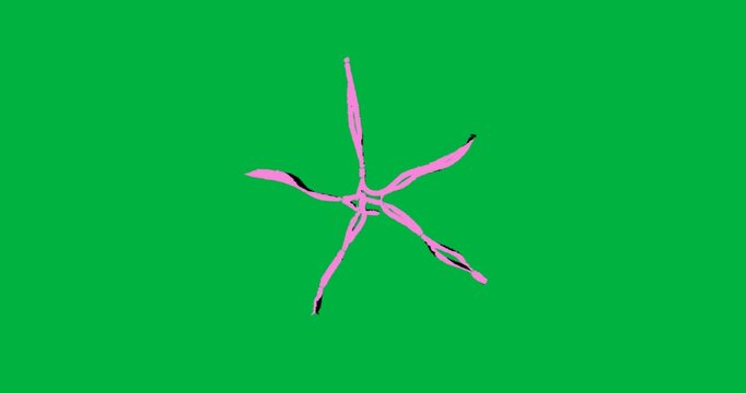 On load, pink five-arm abstract form remaining static on clear background showing minimal design