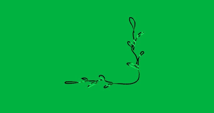 Displaying green vine forming L-shaped corner on transparent background decorating design layouts