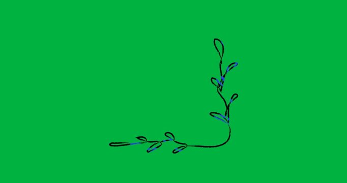 Transparent canvas appearing blue vine growing side then up for decoration before reversing