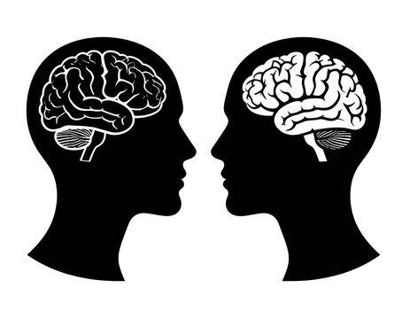 Two stylized brain illustrations, side view, contrasting black and white - Powered by Adobe