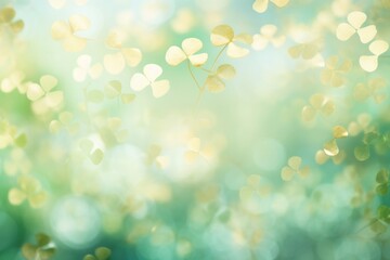 Fototapeta premium Clover leaf pattern bokeh effect background backgrounds outdoors nature.