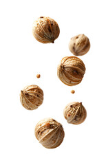 Floating dried cardamom pods with seeds isolated on transparent background