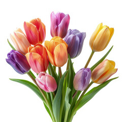 Obraz premium A vibrant bouquet of multicolored tulips arranged with green leaves.