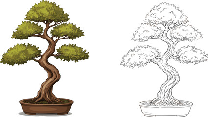 Bonsai tree illustration, colored and outline version, Japanese miniature plant art, nature drawing, botanical design, zen garden, traditional Asian style