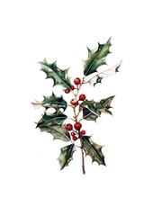 A christmas llex aquitolaum chandelier produce blossom.