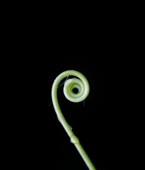 abstract spiral background