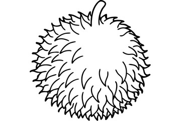 vector illustration of a rambutan fruit