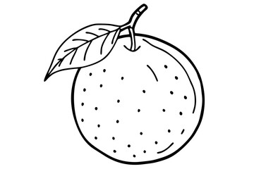 vector illustration of a tangerine